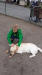 Thumbnail 20230619_091925.jpg 