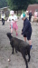 Thumbnail 20230619_091928.jpg 