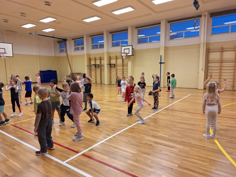 Scaled image 20241219_080921.jpg 