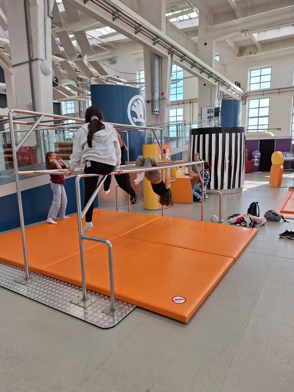 Scaled image 20231102_131052.jpg 