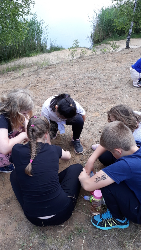 Scaled image 20220614_105747.jpg 