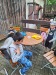 Thumbnail 20250605_114716.jpg 