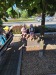 Thumbnail 20260619_083418.jpg 