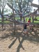Thumbnail 20260618_111838.jpg 