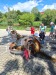Thumbnail 20260618_113609.jpg 